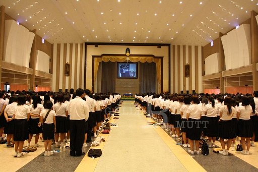 MCT018 - Copy (3).JPG